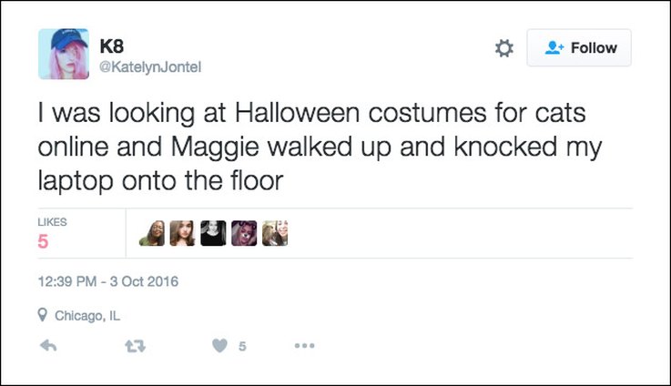 25-tweets-about-pets-and-halloween-that-are-relatable-af