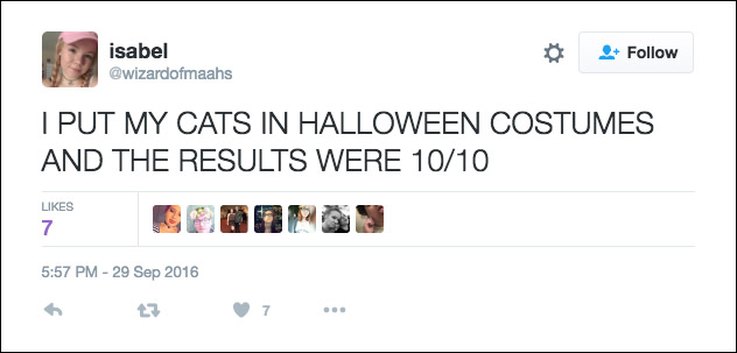 25-tweets-about-pets-and-halloween-that-are-relatable-af
