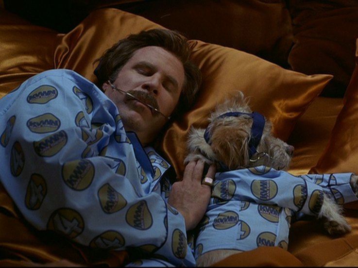 11-reasons-why-baxter-from-anchorman-is-one-of-our-favorite-movie-dogs