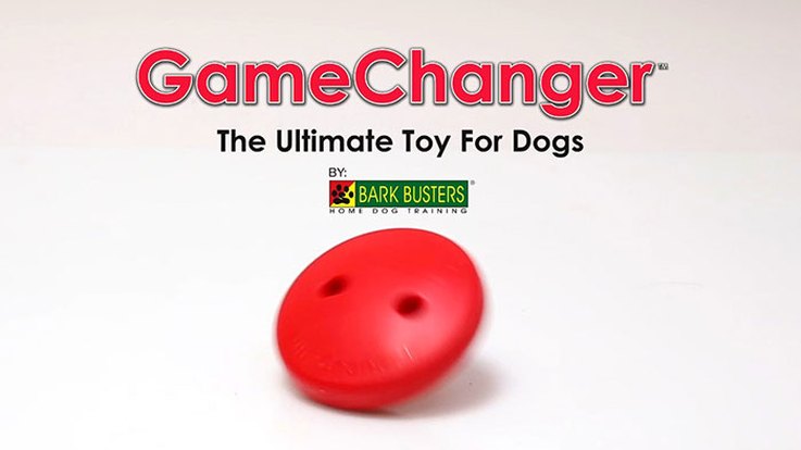 top-dog-toys-to-keep-your-dog-busy