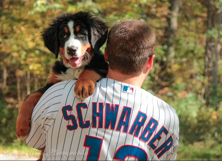 Puppers Pose Proudly After 756Year Wait For Cubs Win Cuteness
