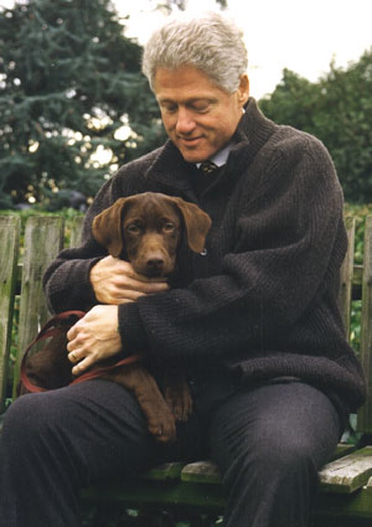 12 Bizarre & Popular US Presidential Pets | Cuteness